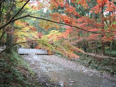 小国神社（静岡県袋井市）の紅葉