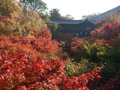 満員の通天橋と満腹のHANA吉兆