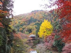 足利学校と浄因寺絶景紅葉狩り