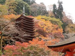 談山神社　紅葉が見ごろです。