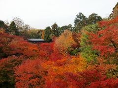 紅葉真っ盛り！の京都へ～（南禅寺・東福寺・真如堂・かやぶきの里）