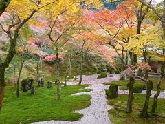 晩秋の福岡プチ日帰り旅【大宰府：光明禅寺の紅葉編①】（２０１１年１１月）