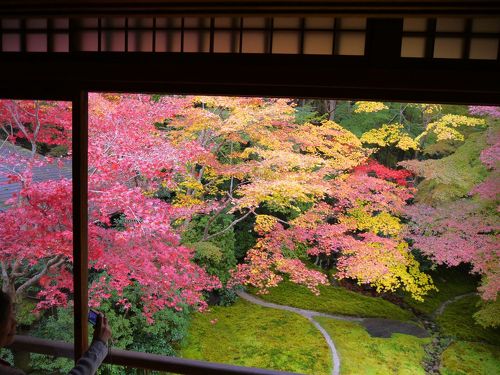 紅葉の瑠璃光院☆蓮華寺』八瀬・大原・貴船・鞍馬(京都)の旅行記 紅葉の瑠璃光院☆蓮華寺』八瀬・大原・貴船・鞍馬(京都)の旅行記