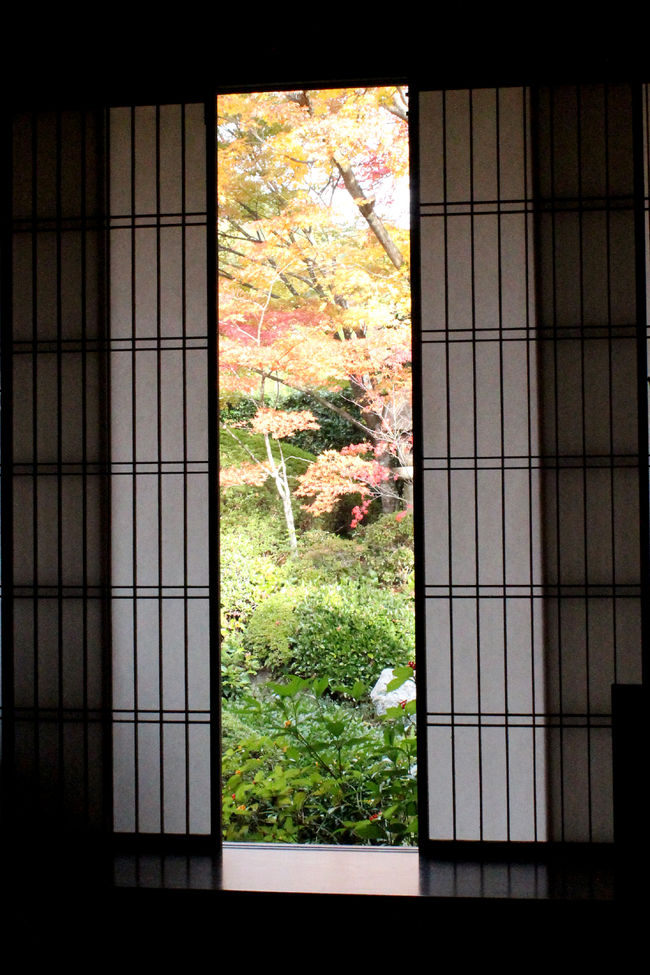 今年は、夏が長かったせいか、一般的に紅葉の色付きが悪いよう。<br />京都の紅葉も、11月末だというのに、なかなか真っ赤に染まらない。<br /><br />それでも、やっぱり綺麗な紅葉は見たいしなぁ。。。<br />これを見ないと秋が終わらない！！<br /><br />旦那様とお休みの合ったこの日、天気予報は晴れ♪<br />曇マークもない晴れ♪<br />でも、実際は本当にこれ晴れ？？って感じだったけれど、京都の侘び寂びを感じた趣ある紅葉を楽しむことができました。<br /><br />例年なら最も綺麗な紅葉が楽しめるであろうこの時期の今年の紅葉は？？<br />2編に分けてご紹介♪<br /><br /><br />常照寺　　http://kanko.city.kyoto.lg.jp/detail.php?InforKindCode=1&amp;ManageCode=1000109<br />源光庵　　http://kanko.city.kyoto.lg.jp/detail.php?InforKindCode=1&amp;ManageCode=1000055