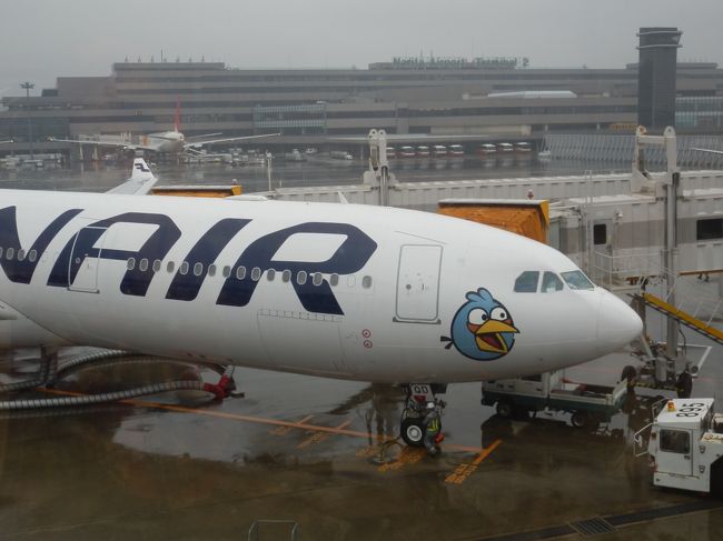 10月5日から17日までの12日間の長い旅。はじめてのフィンランド航空。ヘルシンキで乗り換え。可愛いムーミングッズが売られている。乗り換えもスムーズにわかり、いざ出発。　　　　　　　　　　　　　　　　　　　　　　　　　　　　　　　　　　　　　　　　　　　　　　　　　　　　　　　　　　　　　　　　　　　　　　　　　　　　　　1日目　　ウィーンへ　　18:35到着<br />　　　　2日目　　王宮　市内散策<br />　　　　3日目　　ヴァッハウ渓谷　<br />　　　　4日目　　ナッシュマルクト　ハイゲンシュタット<br />　　　　5日目　　ウィーンの少年合唱団　スペイン乗馬　シェーンブ　　　　　　　　　　　ルン宮殿　　<br />　　　　6日目　　プラハ移動　シナゴーク<br />　　　　7日目　　プラハ城<br />　　　　8日目　　テレジーン収容所<br />　　　　9日目　　チェスキークルムロフへ　　バスで移動　チェスキ　　　　　　　　　ークルムロフ城<br />　　　 10日目　　プラハへ　電車で移動　　　<br />　　　 11日目 帰国<br />　　　 12日目　　日本へ　 