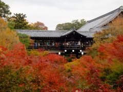 秋の京都　東福寺の紅葉