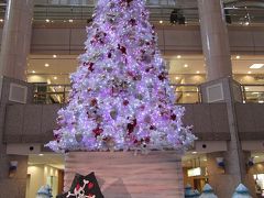 　【２０１１年】　ＭＭ２１　クリスマスツリー＆イルミネーション