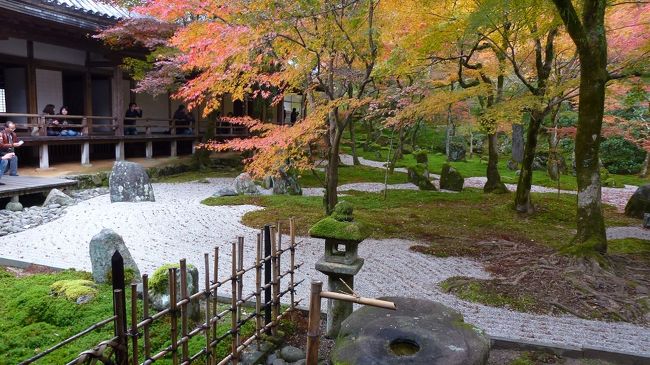 大宰府市にある、「光明禅寺」の見事な紅葉編②をご覧下さい。<br /><br /><br />なお、コメントは、一部を除いて省略させて頂きます。