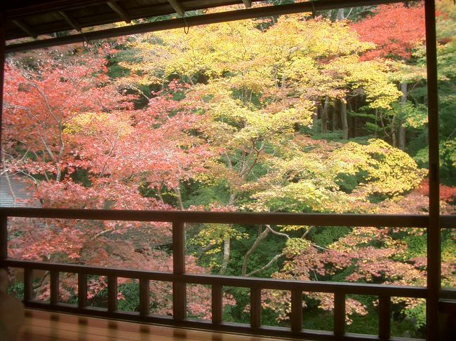 八瀬大原の瑠璃光院。書院の二階から瑠璃の庭を眺めると、等身大の紅葉が楽しめます。人間サイズの紅葉です。