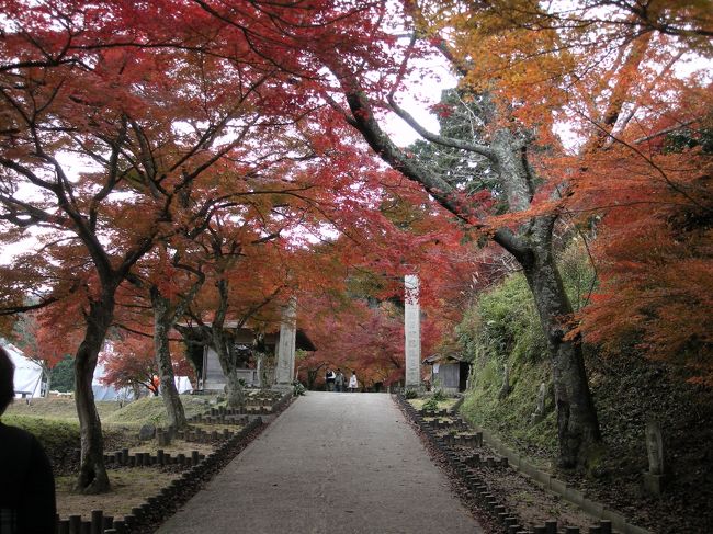 １１月ももうすぐ終わるのに今年は紅葉に行けてない・・・と、急遽ドライブに出かけてまいりました。<br />丹波紅葉三山の高源寺＆円通寺にお出かけ♪<br /><br />やっぱり少し時期が遅かったようで高源寺は落葉でした（泣）<br />でも、でも円通寺はギリギリ間に合った感じで良かった～♪<br /><br />