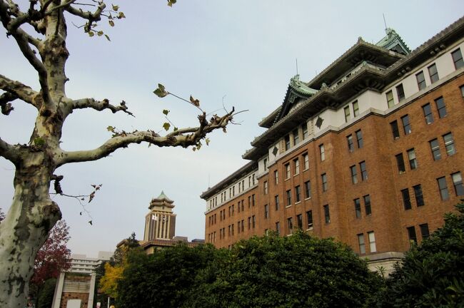 2011晩秋、愛知県庁と名古屋市庁舎：街路の紅葉、公孫樹の黄葉