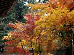 2011　京都の秋に魅せられて　龍安寺編