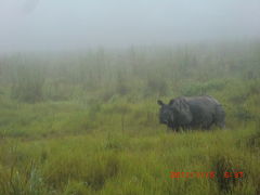 再びネパールへ　トリシュリ川ラフティング　チトワン国立公園ジャングルサファリ