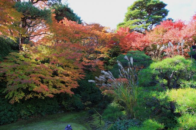 大河内山荘は時代劇の名優大河内傳次郎が百人一首で著名な小倉山の南面に30年あまりの歳月を掛けて創りあげた庭園です、庭は回遊式借景庭園で数多くの松・桜・楓などが四季を彩ります。