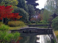 紅葉の京都を歩く（西本願寺、高台寺、東寺、そして宵闇の幻想へ）