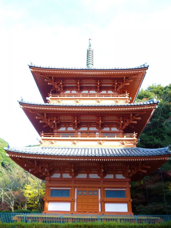 こんな田舎の山奥に。。。紅葉に染まる京風庭園があります<br /><br />今年の紅葉は遅めのようですが、ここ数日の冷え込みでやっと色付いて<br />来ましたので待ちに待った紅葉狩りに。。。行きたいしなぁ〜〜〜<br />暖かな九州では一部の地域を除いて紅葉の見ごろは１１月下旬過ぎ<br /><br />週末になると不思議にも。。。天気予報は曇りから雨(T_T)<br />紅葉の見ごろは短いので 晴れるのを待ってはいられないとばかり<br />結果オーラィを期待して、昨夜来の強風警報も何のその<br />「清水寺」へと。。。<br /><br />　紅葉を見ないと、、、私の秋が終わらないッ！！<br /><br />http://www.e-kiyomizu.or.jp/history/<br />　　　　　　　　　　　　　　　　　　　　　　　　　　　　