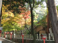 まやこのお散歩☆　“吉田神社＆吉田山"