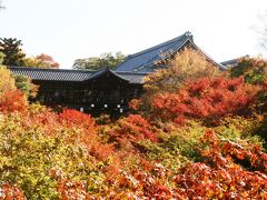 2011.11 「そうだ！京都へ行こう！」が現実になっちゃった…北海道→静岡そして紅葉真っ盛りの京都へ②～市バス＆徒歩でGO！