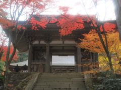 湖東三山「西明寺・金剛輪寺」の紅葉