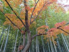 「そうだ、岐阜から、京都、行こう。」２０１１・晩秋・JRで行く紅葉狂・１／３嵐山、嵯峨野周辺の紅葉狩編