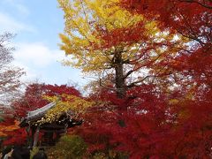 「そうだ、岐阜から、京都、行こう。」２０１１・晩秋・JRで行く紅葉狂・２／３嵯峨野の紅葉狩編