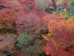 「そうだ、岐阜から、京都、行こう。」２０１１・晩秋・JRで行く紅葉狂・３／３再び嵐山＋東福寺の紅葉狩編