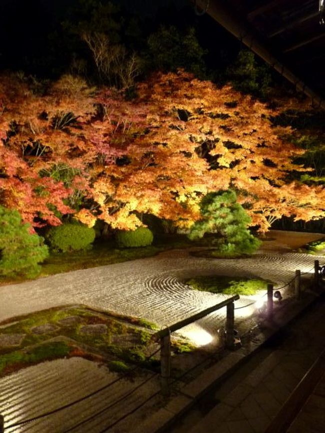 昨年につづき今年も京都の紅葉を楽しむ事が出来ました。<br /><br /><br />ご存知のように数多くの紅葉スポットがある京都。<br />心惹かれる場所は本当にたくさんありますが。。。<br /><br />ネットやガイドブックでいろいろと情報収集し、<br />初めて訪れるお寺・・・<br />ライトアップには行った事があるけれど昼間は初めて・・・<br />春に桜見物に行った所・・・と、<br />自分なりに厳選して回ってみました。<br /><br /><br />訪れた場所<br />1日目 (永観堂・南禅寺・天授庵ライトアップ)<br />2日目 (高台寺・圓徳院・祇園閣・泉涌寺・曼殊院ライトアップ)<br />3日目 (直指庵・大覚寺・宝厳院ライトアップ)<br />4日目 (高桐院)<br /><br /><br /><br /><br /><br /><br /><br /><br /><br /><br />