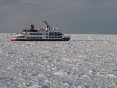 タンチョウ・ＳＬ・流氷の旅　４日目