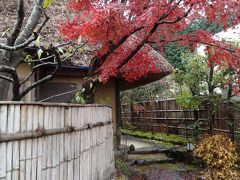 ２０１１・初冬・岐阜市郊外の素敵な鰻屋さんで思いがけない紅葉狩り＆大矢田もみじ狩り