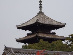 2011　京都の秋に魅せられて　仁和寺編