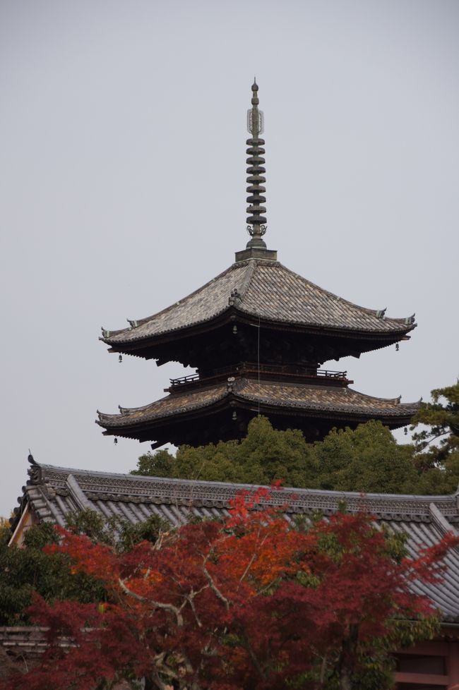 世界遺産に登録され、約２００本あるという御室桜で有名な仁和寺ですが、紅葉の名所としてはあまり知られていないので結構穴場です♪<br />次回は季節を変えて訪れたいです。<br /><br /><br />８８８年に宇多天皇が創建したお寺。<br />仁和寺ＨＰ：http://www.ninnaji.or.jp/