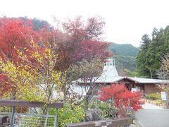 蕨山で紅葉狩り