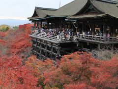 京都の紅葉　2011　～清水寺、高台寺（前編）～