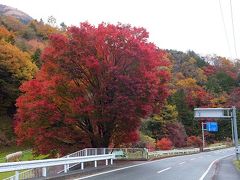 御殿場足柄イルミネーションと紅葉の旅