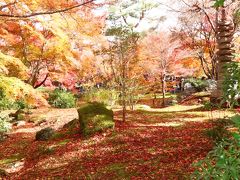 「そうだ、岐阜から、京都、行こう、再び。」２０１１・初冬・嵐山再訪。後編
