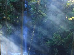 養老渓谷/勝浦/安房鴨川ぐるり旅【18】～関東一遅い紅葉～小沢又の滝(幻の滝)