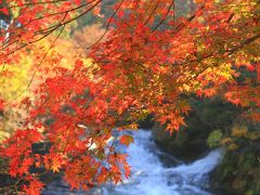 養老渓谷/勝浦/安房鴨川ぐるり旅【19】～関東一遅い紅葉～粟又の滝＆遊歩道　