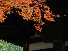 ぶらり八幡～紅葉寺の善法律寺