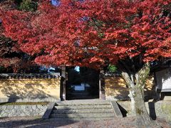 初冬というのにまだ紅葉が見られる秋篠寺in奈良