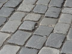プラハは石畳の道