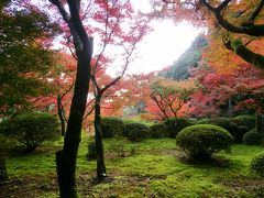 2011年秋の九年庵の紅葉