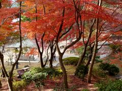 紅葉が見事な須磨離宮公園