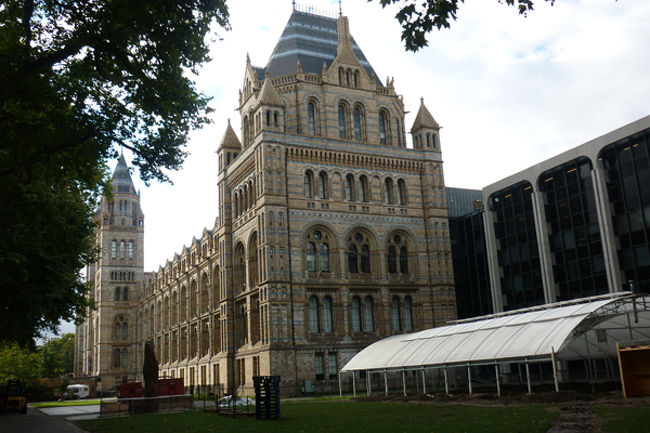 大英博物館の後は自然博物館（Natural History Museum）へ立ち寄ります。自然博物館はピカデリー線のサウスケンジントン駅（South Kensington）にあります。ロンドン市内観光、空港への移動、共に活用できるピカデリー線は、とても便利です。