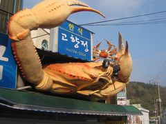 韓国南東部をうろうろ②江口（カング）でカニに囲まれて１泊