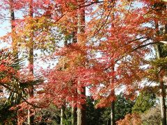 恒例の筑波山追悼山行・・・③筑波山山頂で追悼