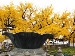 ○京都の秋（3）洛中