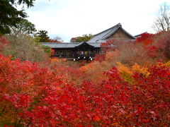 紅葉真っ盛りの京都　歩きまくりの長～い一日　～第二章～　東福寺・清水寺編