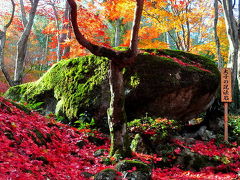 2011 教林坊(きょうりんぼう)の紅葉と庭園