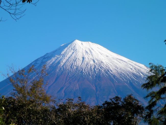 天候不順の今年。富士山に雪が降らない。<br />雨になるので富士宮市内の一部では湧水がすごくて被害が出ているぐらい。<br />富士宮からの富士山２０１１年版の秋<br />http://4travel.jp/traveler/ri660771/album/10608937/<br />から冬に移れない。<br />１２月になったのに・・・・<br />それでもやっと富士山頂に雪が！早速デジカメを手に散歩に出ました。この写真は我が家の裏の公園から撮影したもの。木が成長しすぎて富士山が良く見えなくなっています。<br />木の剪定が必要です。<br />