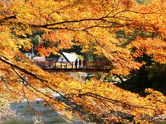 2011.11 「そうだ！京都へ行こう！」が現実になっちゃった…北海道→静岡そして紅葉真っ盛りの京都へ③～香嵐渓